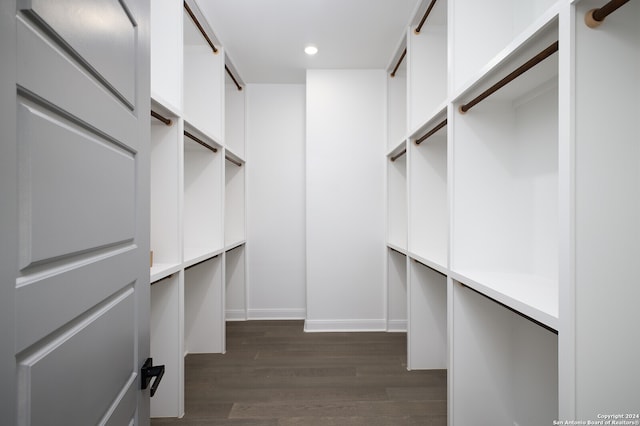 walk in closet with dark hardwood / wood-style flooring