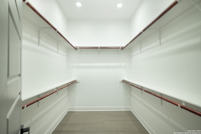 spacious closet featuring dark wood-type flooring