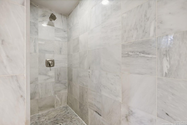 1112 W Huisache Ave, San Antonio, TX 78201 - full bathroom featuring tiled shower