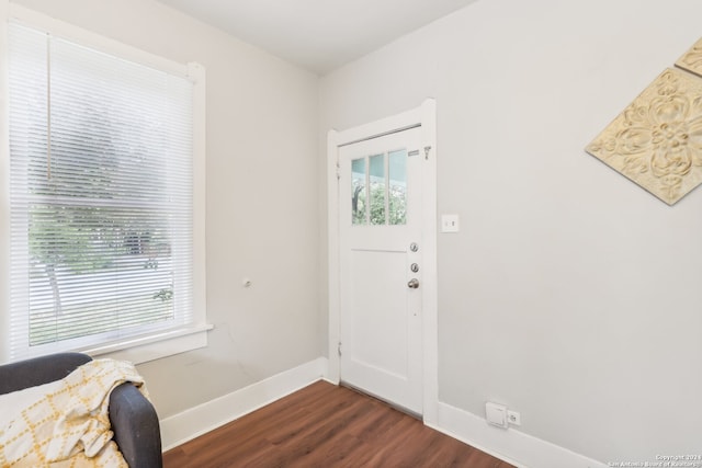 foyer entrance featuring dark hardwood / wood-style flooring