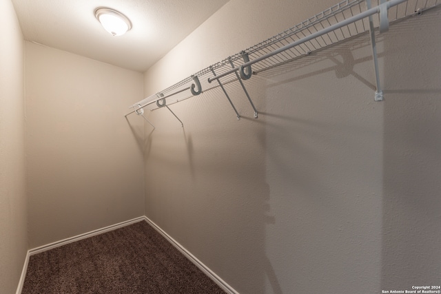 spacious closet with carpet