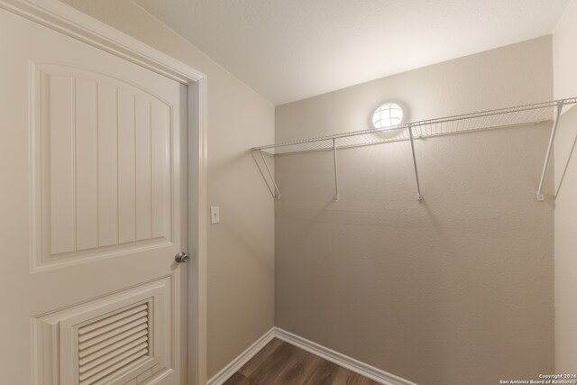 spacious closet featuring dark hardwood / wood-style flooring