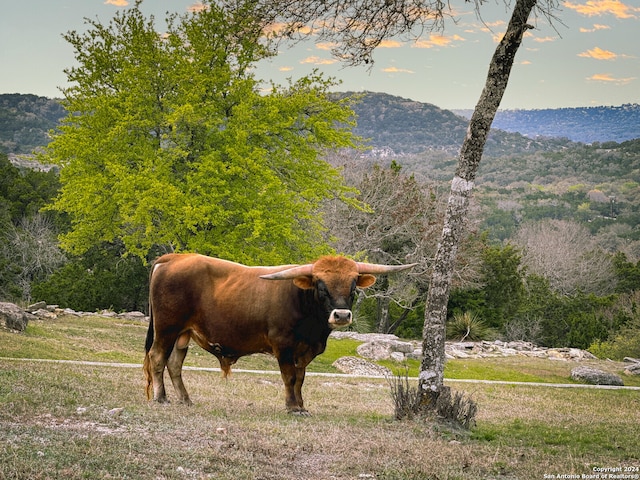 Listing photo 2 for 138 Estancia Ln, Boerne TX 78006