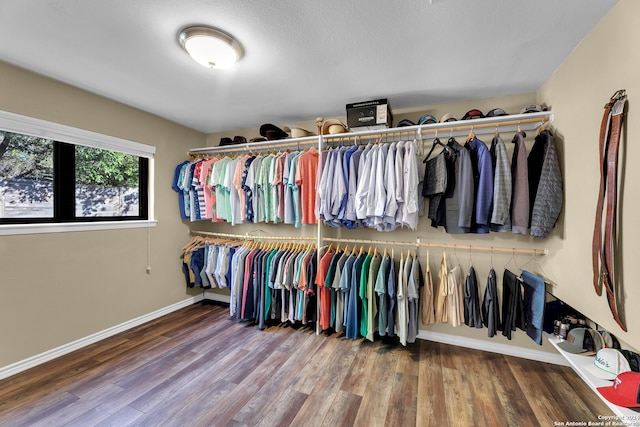 walk in closet with wood-type flooring