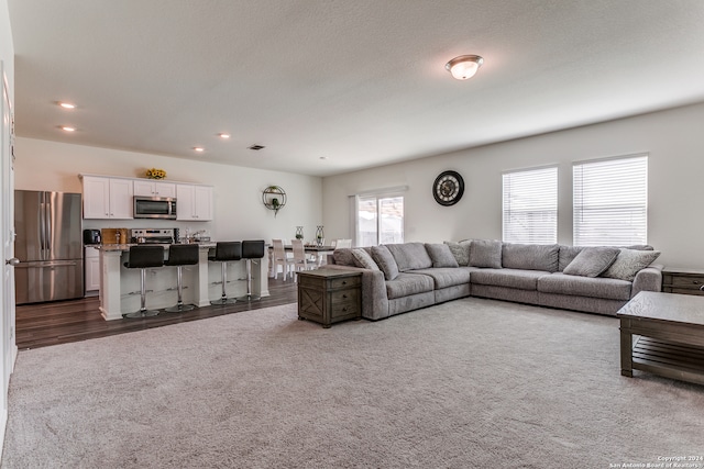 living room with a textured ceiling and dark wood-type flooring