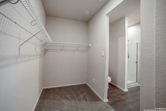 walk in closet with dark wood-type flooring