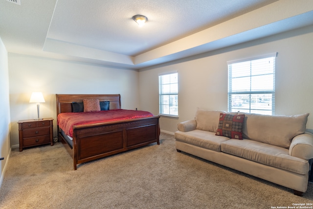 bedroom with light colored carpet and a raised ceiling