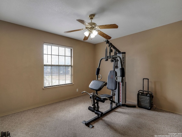 workout room with carpet and ceiling fan