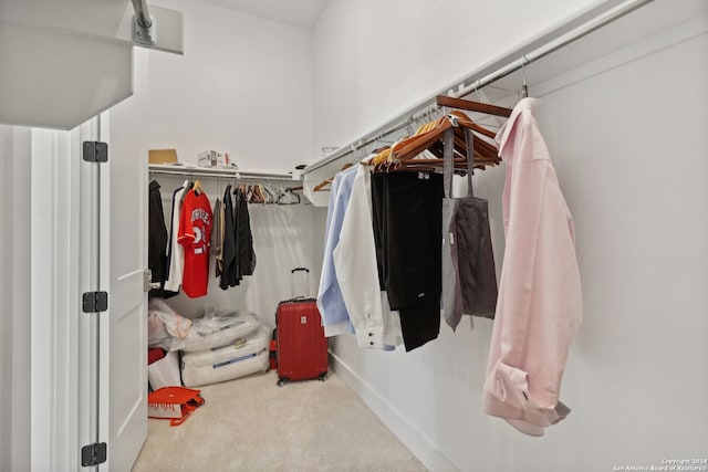 spacious closet featuring carpet flooring