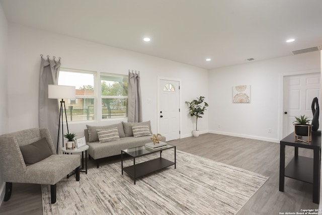 living room with hardwood / wood-style floors