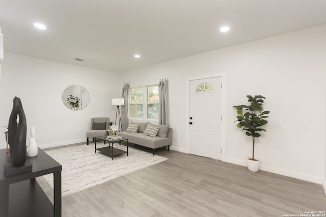 living room featuring light wood-type flooring