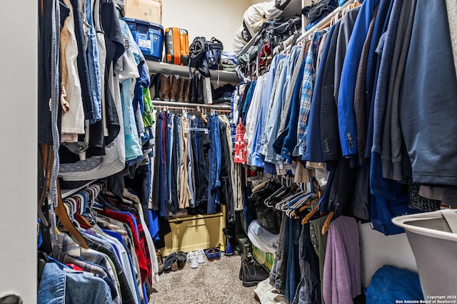 spacious closet featuring carpet floors