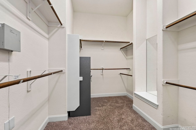 spacious closet with carpet flooring