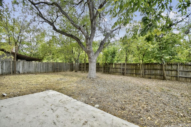 view of yard featuring a patio area