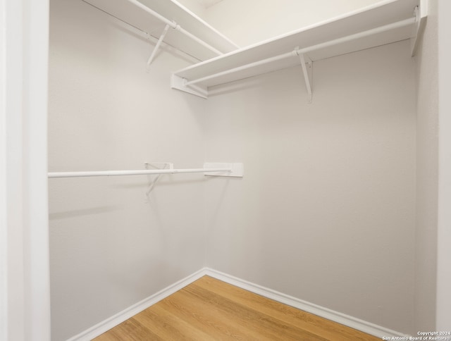 spacious closet featuring wood-type flooring