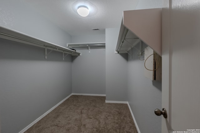 walk in closet with carpet floors