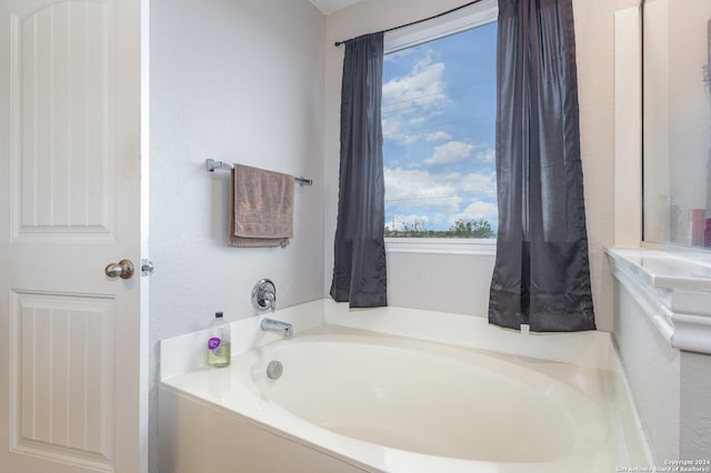 bathroom featuring a healthy amount of sunlight and a bathtub