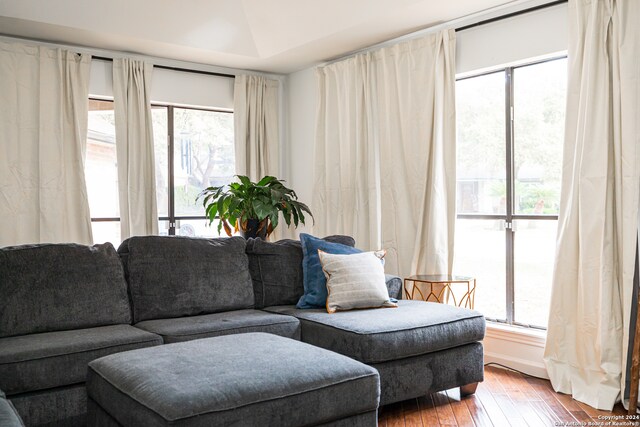 living room with wood-type flooring and a wealth of natural light