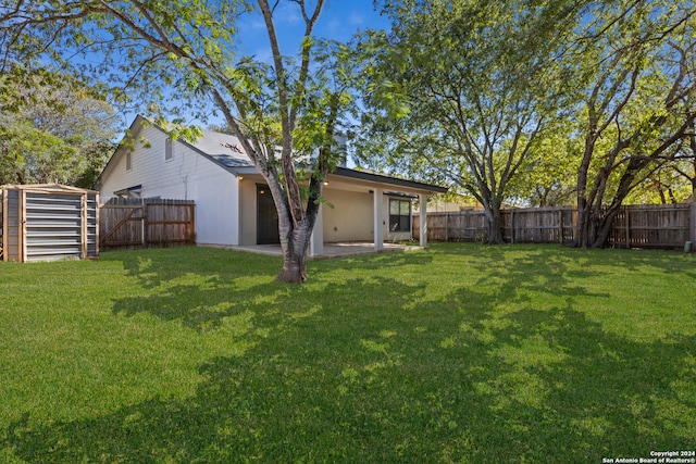 view of yard featuring a patio area