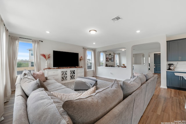 living room with light hardwood / wood-style flooring and plenty of natural light