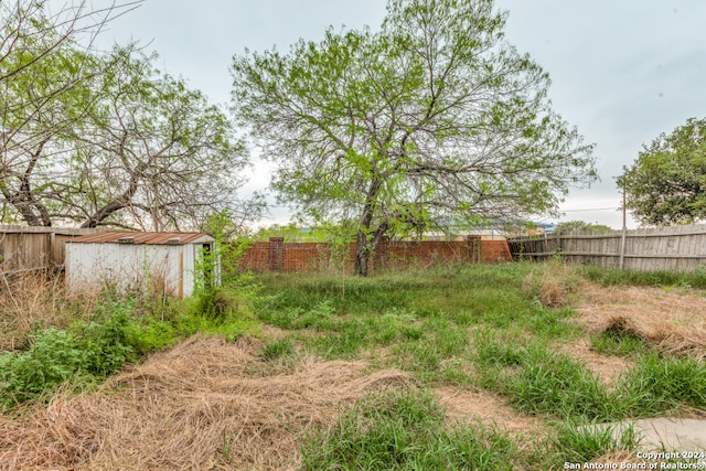 view of yard with a shed