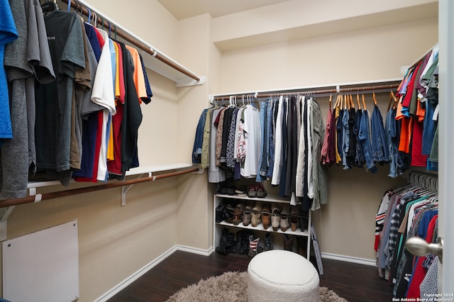 spacious closet featuring dark hardwood / wood-style flooring