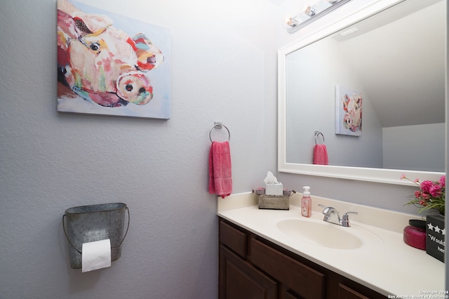 bathroom featuring vanity and lofted ceiling