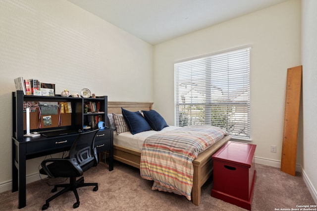 bedroom with light colored carpet