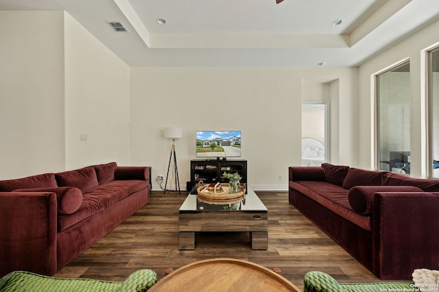 living room featuring dark wood-type flooring and a raised ceiling