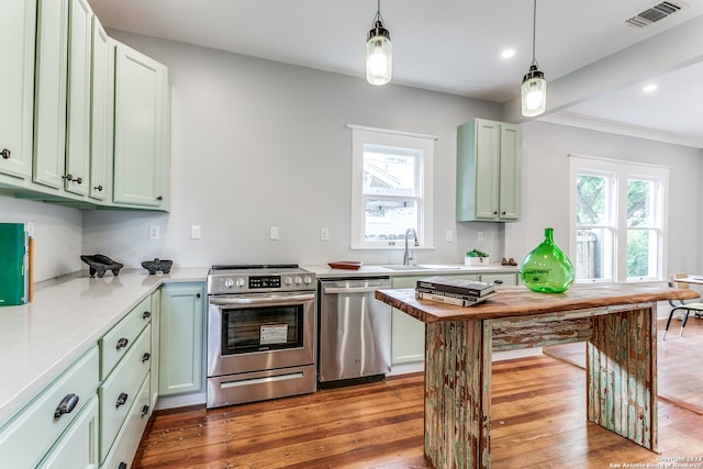 kitchen featuring hardwood / wood-style flooring, stainless steel appliances, and a wealth of natural light