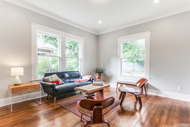 sitting room featuring a wealth of natural light and dark hardwood / wood-style flooring