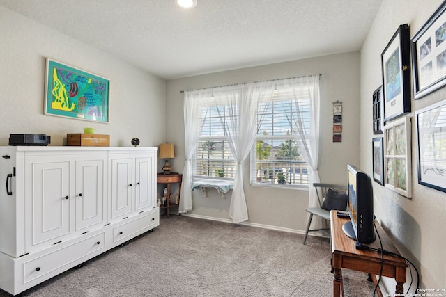 interior space with a textured ceiling and light colored carpet