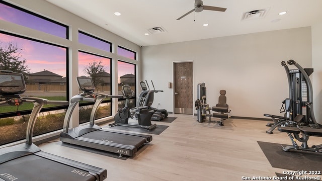 gym featuring light hardwood / wood-style flooring and ceiling fan