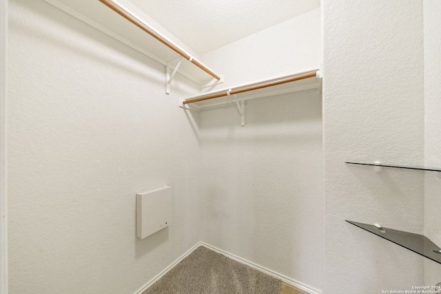 spacious closet featuring carpet flooring