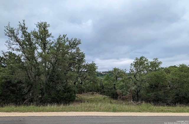 138 Oyster Spgs, Canyon Lake TX, 78133 land for sale