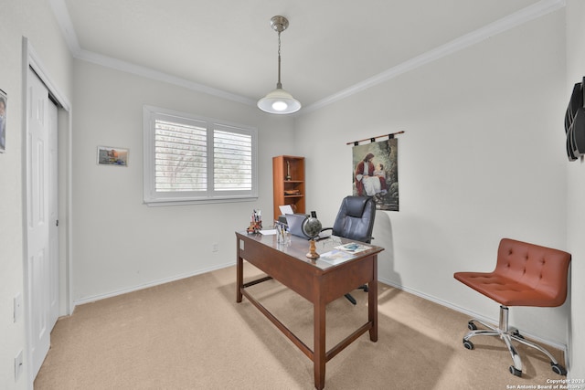 carpeted office space featuring crown molding