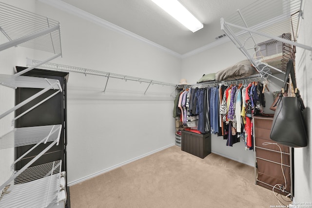 walk in closet with carpet