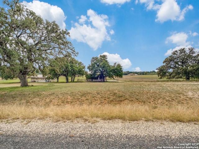 338 Salt Grass Trl, Bandera, TX 78003 - view of local wilderness