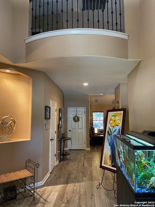 foyer with hardwood / wood-style floors