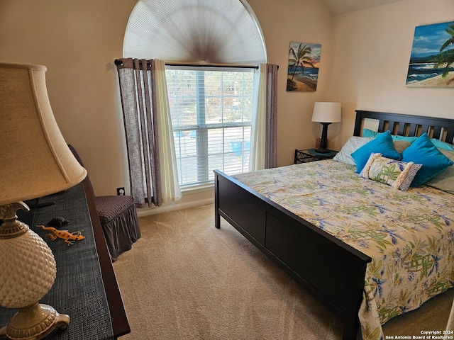 bedroom featuring carpet floors