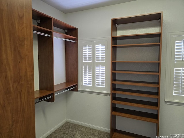 819 Tiger Lily, San Antonio, TX 78260 - walk in closet featuring carpet flooring