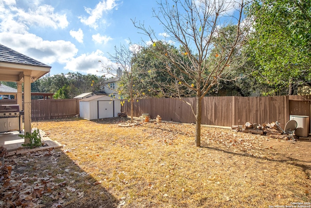 view of yard featuring a storage unit