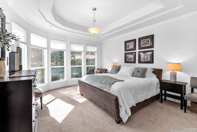 carpeted bedroom featuring crown molding and a raised ceiling