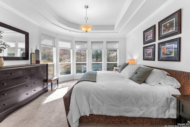 carpeted bedroom featuring multiple windows, a tray ceiling, and ornamental molding