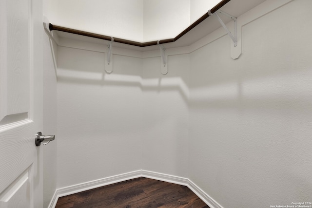 walk in closet with hardwood / wood-style floors