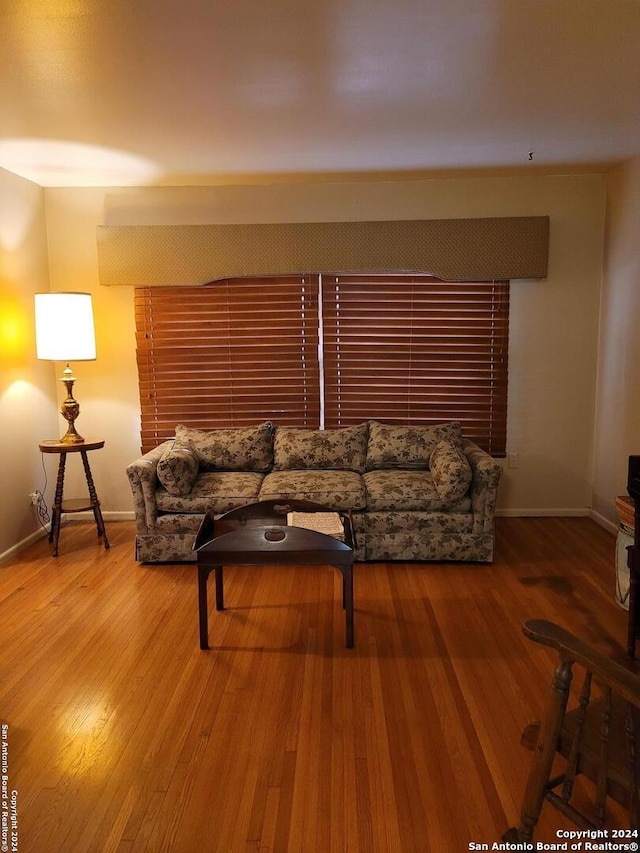 living room with hardwood / wood-style flooring