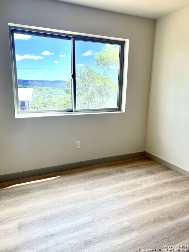 empty room with light hardwood / wood-style flooring and plenty of natural light