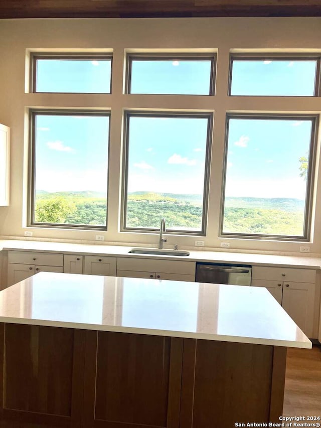 kitchen featuring dishwasher, a healthy amount of sunlight, sink, and wood-type flooring