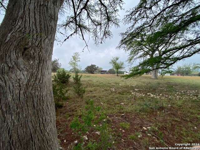 view of landscape with a rural view