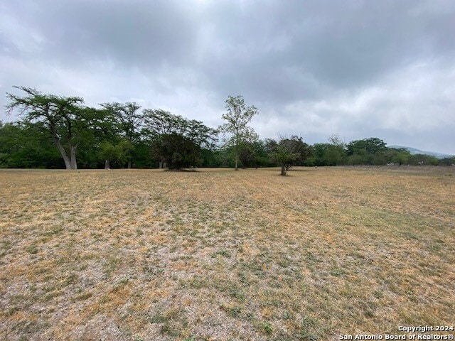 view of yard with a rural view